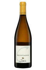 Macon Chaintre Cornin7